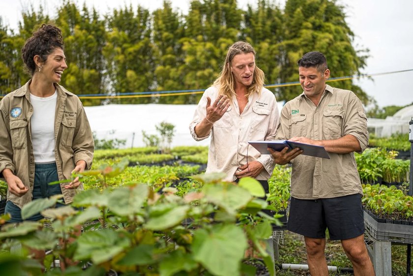 InfluxJuice planting partners inspecting saplings at the Evertreen nursery