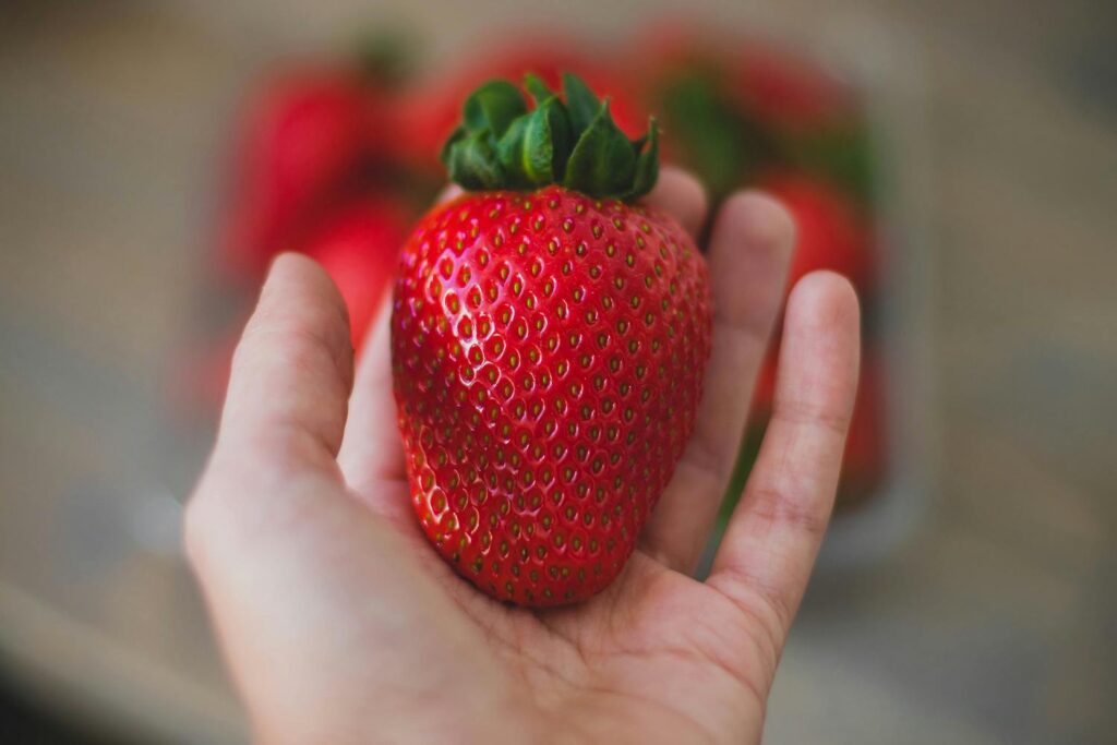 OpenAI’s Strawberry Model: A New Frontier in AI