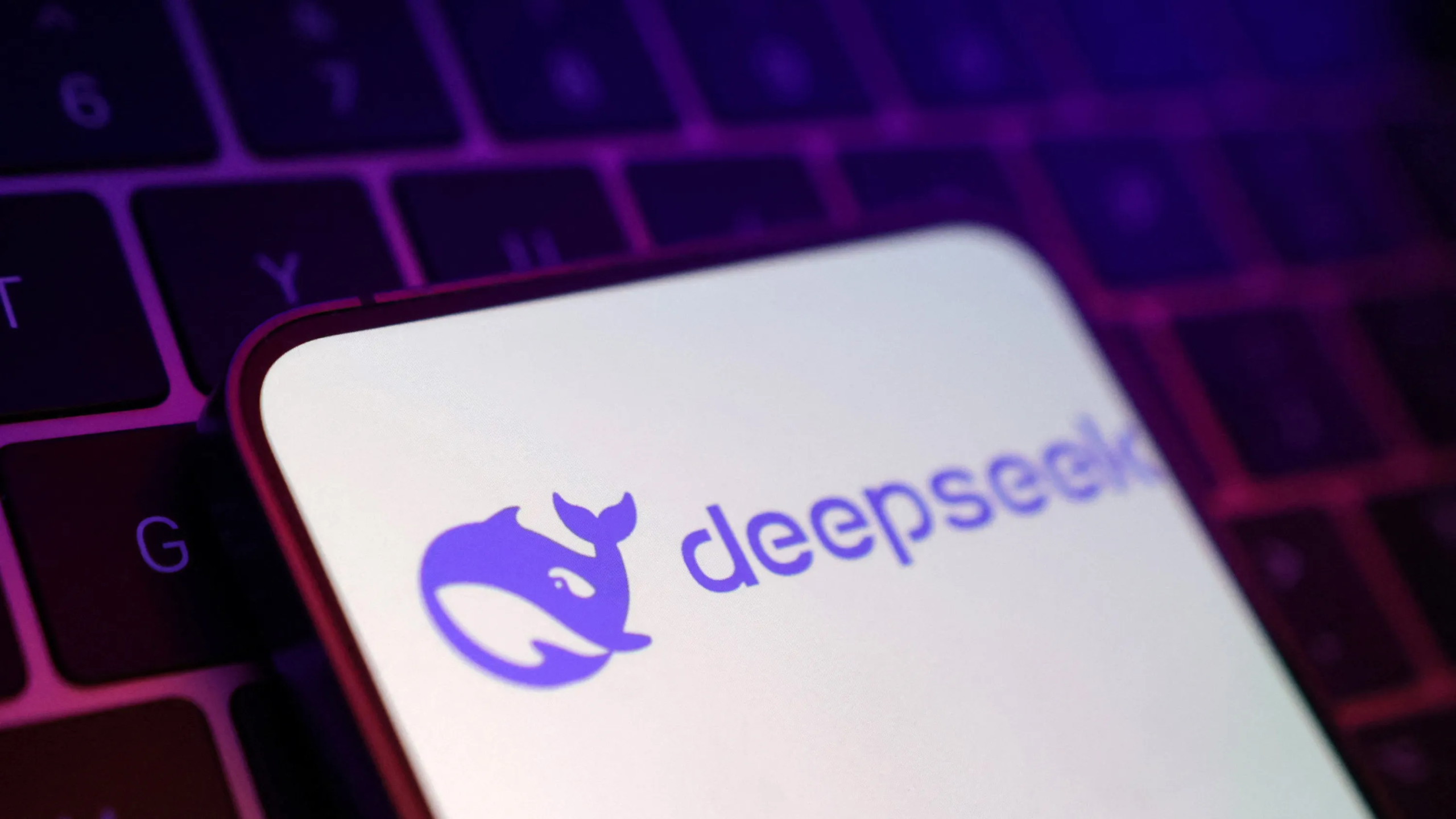 DeepSeek LLM