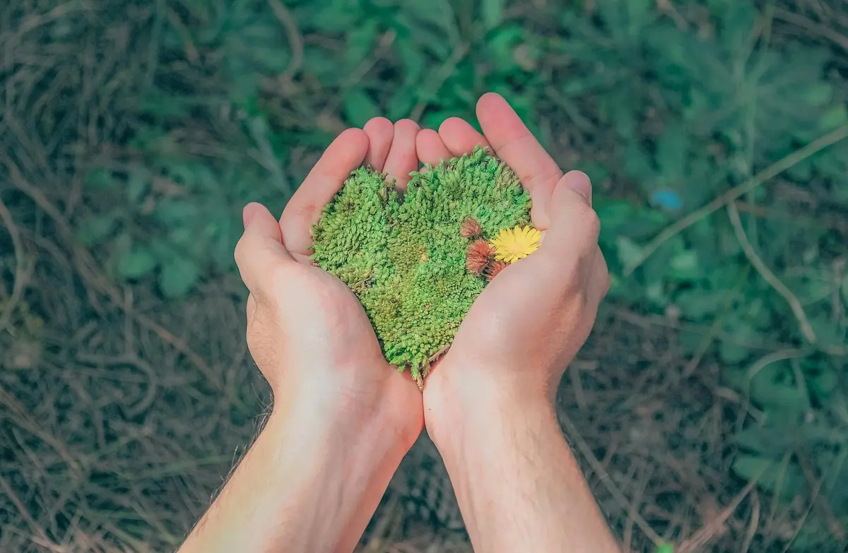 Hands holding a heart shaped patch of greenery by Min An on Pexels. com