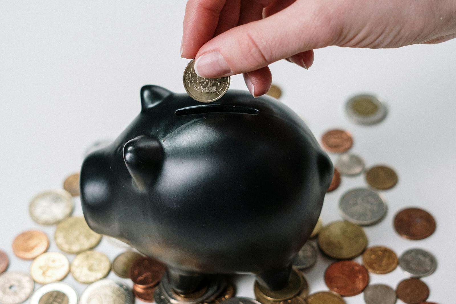 Person Putting Coin in a Piggy Bank by cottonbro studio on pexel.com