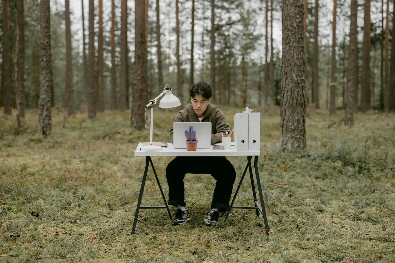 A man at a small desk in the middle of a wood signifying sustainability by cottonbro studio on Pexels. com